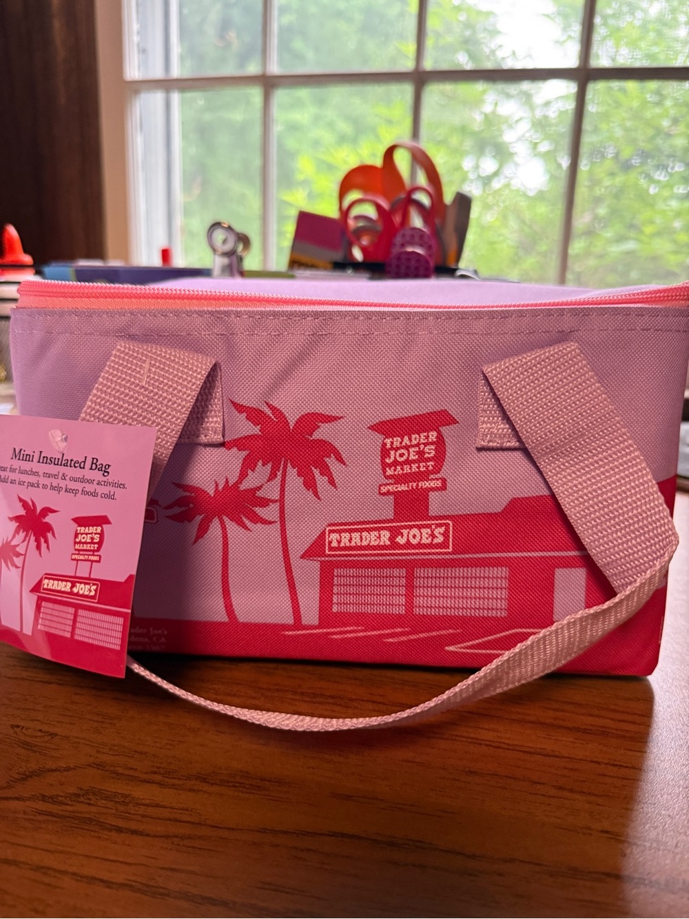 Trader Joe’s insulated cooler purple.